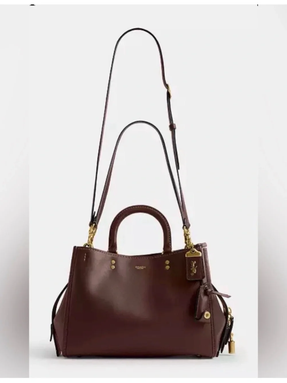 Coach Rogue 31 in Maple